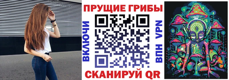 где купить наркоту  Приволжский  Галлюциногенные грибы Magic Shrooms 